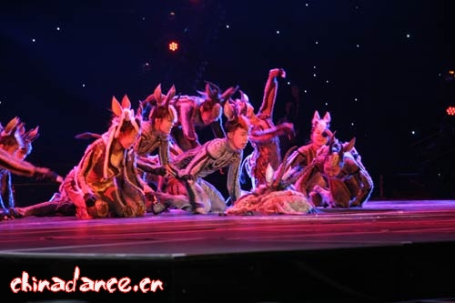 東北師范大學《羚羊的外套》